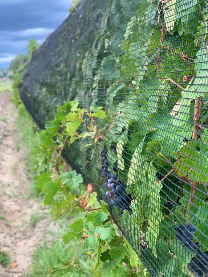 Chaglasian Wine & Suites 산라파엘 외부 사진