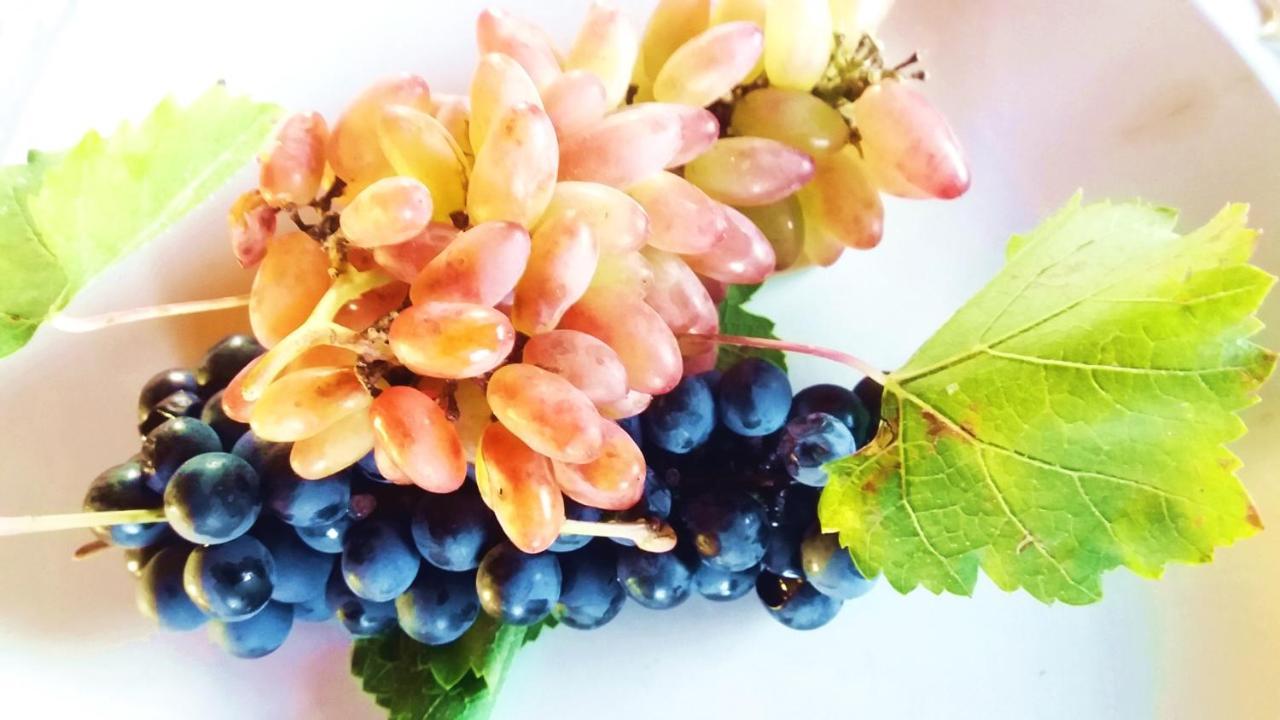Chaglasian Wine & Suites 산라파엘 외부 사진